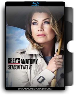 Grey's Anatomy 12ª Temporada Torrent