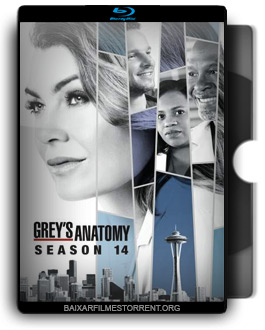 Grey’s Anatomy 14ª Temporada Torrent
