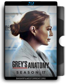 Grey’s Anatomy 17ª Temporada Torrent